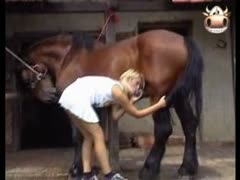 Blonde plays with a horse's monster cock on a farm xxx